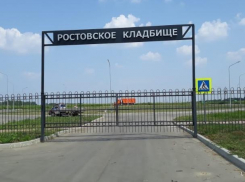 Море конопли, амброзии и треснувшие тротуары на новом кладбище Ростова: показываем, на что потратили 267 миллионов