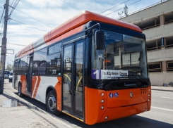 Власти Ростова закупят новых 20 троллейбусов 