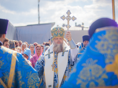 Ростовский митрополит Меркурий раскритиковал желающих делать ЭКО