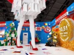 Стройные женские ноги в красных туфлях помогут привлечь инвесторов в Ростовскую область 