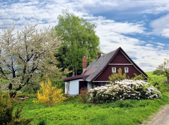 Ловим теплые деньки: чем заняться в саду и огороде в июне