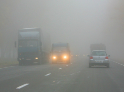 Ростовским автомобилистам и пешеходам напомнили об опасности на дорогах в туман