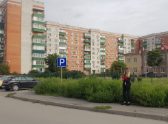 В Ростовской области нарушители заплатят 5,5 млн рублей за нескошенный сорняк