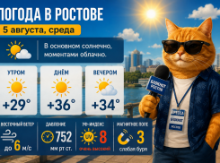 Жара не отступает: каким будет погода в Ростове-на-Дону 7 августа