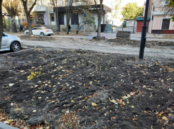 Власти Ростова пообещали высадить на Университетском 40 новых деревьев