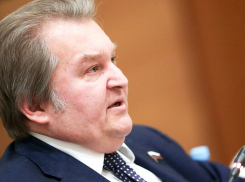 Заботился о пенсиях, запрещал курить в общественных местах и критиковал федеральный бюджет: депутат госдумы Михаил Емельянов