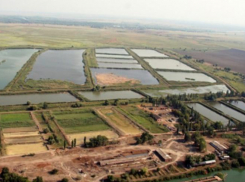 Донские власти снизили накрученную в 50 раз стоимость земли под прудами