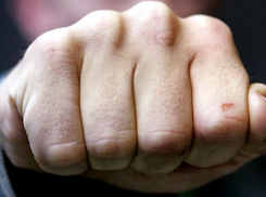 Житель Ростовской области избил полицейского из-за того, что у него отобрали детей 