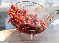 Ресторан в Ростове-на-Дону ищет психолога для живых раков