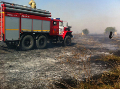 В Ростовской области 50 человек тушили горящее поле