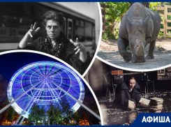 Кормим носорогов, встречаемся с Оливье Сиу и читаем французские книги: куда пойти в Ростове на этой неделе