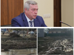 Губернатор Ростовской области прокомментировал флешмоб #ПозвониВасилию