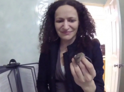 Дерзкая мышь испугала девушек в ростовском ЗАГСе и попала на видео