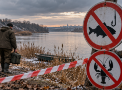 В Ростовской области закроют популярные места для рыбалки до весны