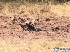 В Ростовской области обнаружены восемь воронок от разорвавшихся украинских снарядов