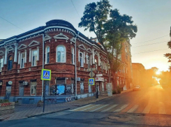 Власти Ростова усилят профилактику ландшафтных пожаров