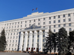 Власти Ростовской области потратят 1,3 млн бюджетных рублей на подарочные книги