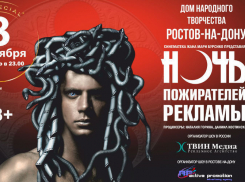В октябре в Ростове пройдет фееричная «Ночь пожирателей рекламы»