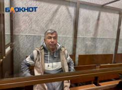 Экс-главе Ростова Алексею Логвиненко продлили арест до сентября