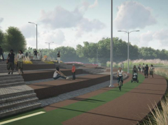 В Ростове рассказали о создании экологического парка