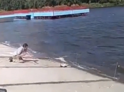 Сногсшибательный улов едва не ускользнул от рыбака на водоеме Ростова и попал на видео 