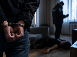 Дончанин из-за личной неприязни до смерти избил знакомую в Москве
