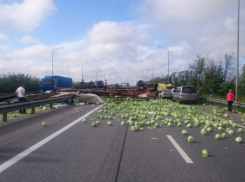 Движение на трассе М-4 парализовала рассыпавшаяся капуста