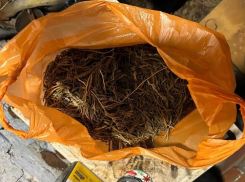 Почти полкило наркотиков нашли дома у жителя Ростовской области