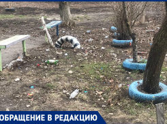 «Чиновники говорят, что чисто, но это не так!»: ростовчанка показала замусоренную улицу Еременко