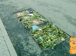 Во время дождя в Ростове ливневки превратились в нарядное полотно