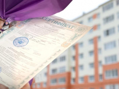 Власти Ростовской области признали задержки выплат по херсонским сертификатам