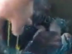 Целые черепашьи семьи пустили на корм рыбам и ракам жестокие браконьеры в Ростове на видео