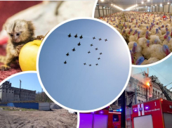 НеCOVIDные новости: что случилось в Ростове на прошлой неделе