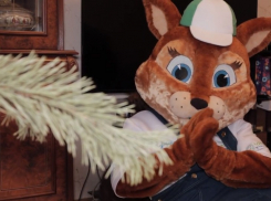 «Чемпионат по елкометанию и подарки»: ростовчан приглашают сдать елки на переработку во время экоакции