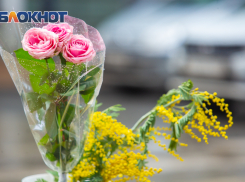 Какие болезни и вредители могут помешать розам цвести в цветниках ростовчан