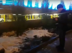 Долгожданный снег обнаружили ростовчане на улице города