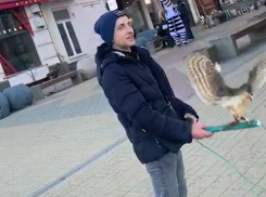 Неадекватное поведение мужчины с совой в центре Ростова попало на видео