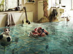 Хозяйку протекающей квартиры разыскивают истосковавшиеся по холодной воде жители Ростова