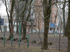 Заброшенный детский сад, старый стадион и бесхозная роща: власти задумались о благоустройстве Первомайского района Ростова