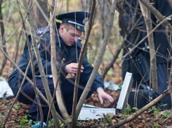 Мумифицированный труп на дереве обнаружили в лесополосе в Ростовской области 