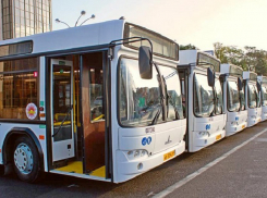 Два автобуса-шаттла запустят в день тестового матча к «Ростов-Арене»