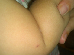 Коляску с годовалым ребенком перепутал с урной курящий ростовчанин