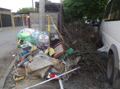 В Ростове так и не определились, кто же должен увозить мусор вокруг контейнерных площадок