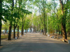 Парк Вити Черевичкина реконструируют за бюджетные средства