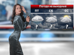 В Ростове-на-Дону на выходные будет пасмурно и морозно