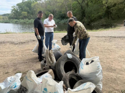 Неравнодушные собрали 88 мешков мусора на Можайских прудах в Ростове