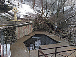 На Крещение в Ботанический сад ЮФУ сделают бесплатный вход