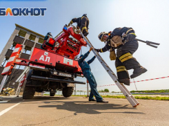 В Ростовской области за лето на пожарах погибли три ребенка