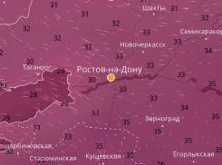 Ростов продолжит плавиться как минимум до 15 августа