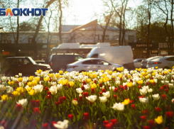 В Международный женский день в Ростове будет тепло и без осадков